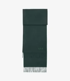 Ambroise Brodu00e9e scarf