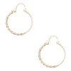 Darwin earrings