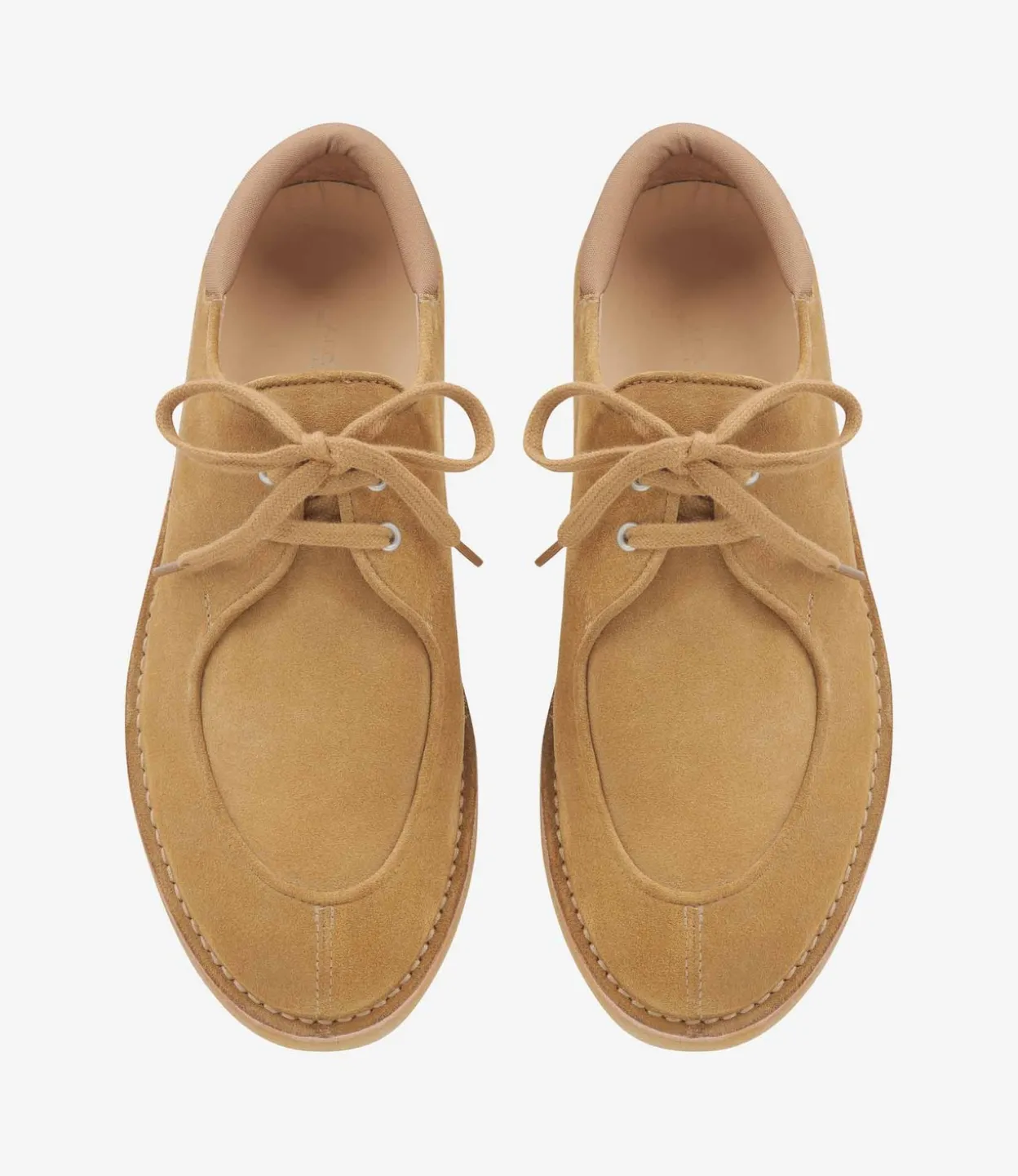 Theodore derbies